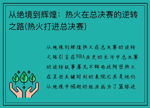 从绝境到辉煌：热火在总决赛的逆转之路(热火打进总决赛)