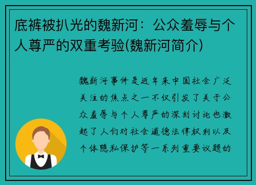 底裤被扒光的魏新河：公众羞辱与个人尊严的双重考验(魏新河简介)